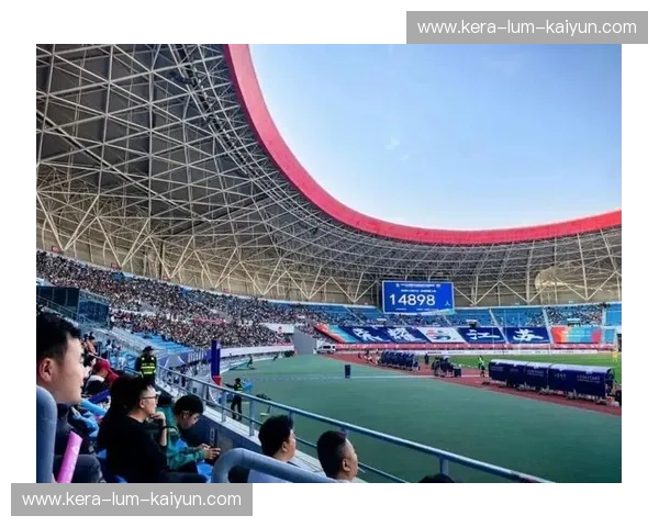 苏超官网—足球迷的全新主场